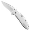 Kershaw Ken Onion Chive Assist Knife, KS1600